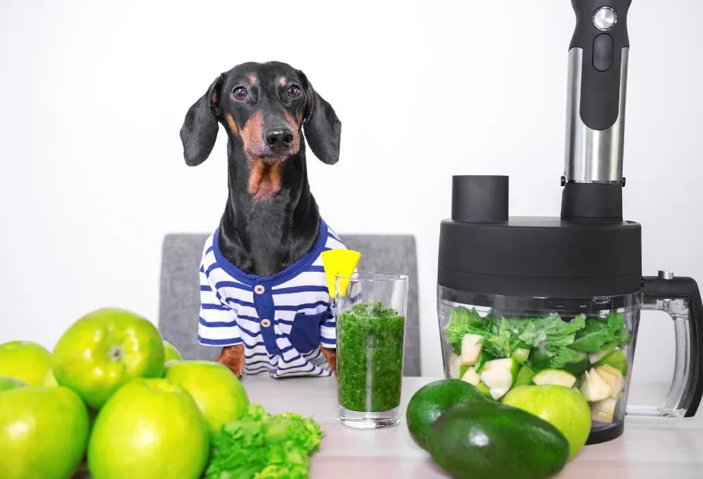 dachshund with vegetables