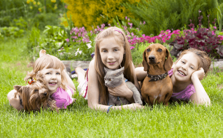 dachshund and child