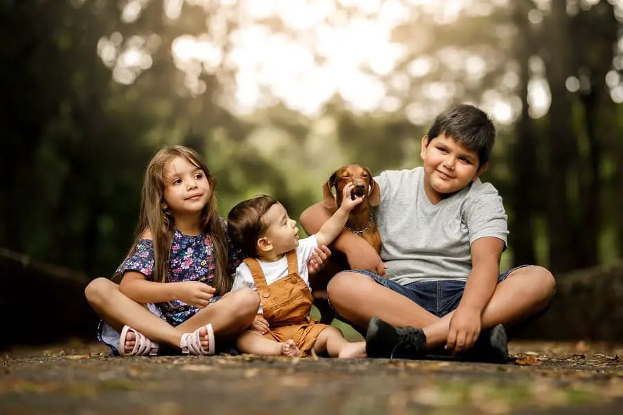 dachshund and child