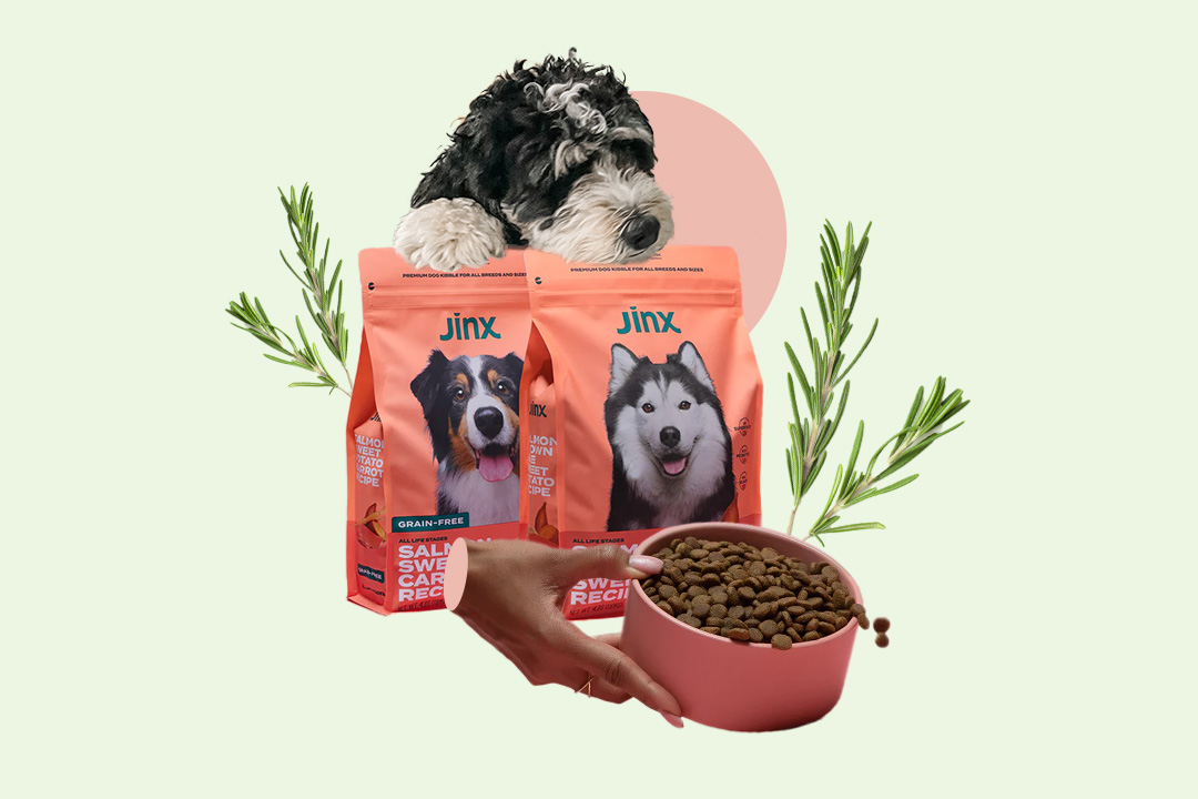 Jinx dog food reviews