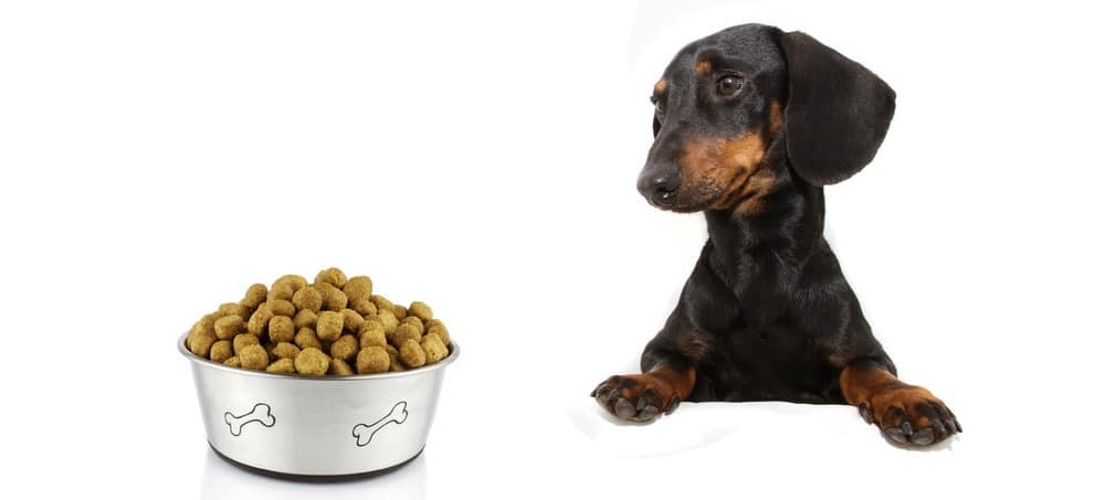 blue buffalo dog food reviews